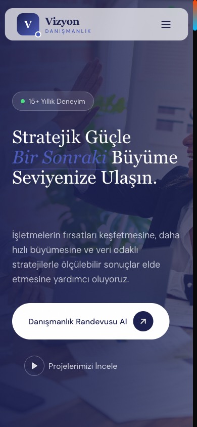 Vizyon Danışmanlık